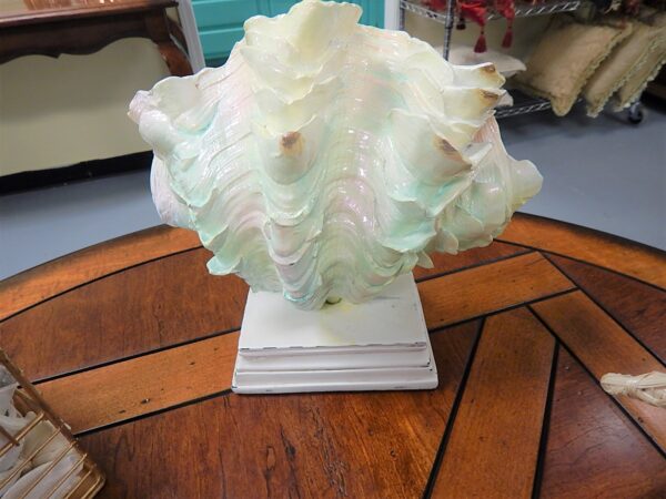 Seashell Statue