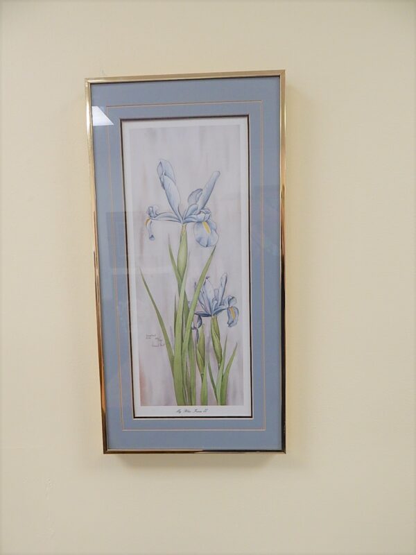 Iris Framed Signed Numbered Print