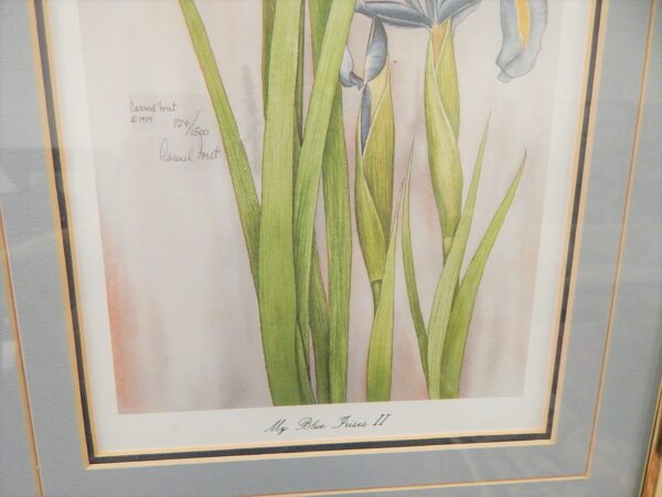 Iris Framed Signed Numbered Print - Image 2