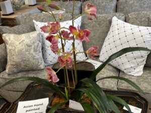 An Orchid Plant on the Center Table Image