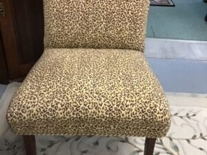 Animal Printed Cushions on the Chair Image